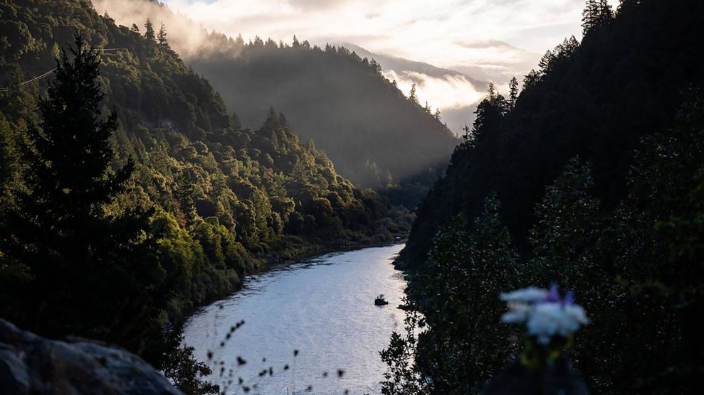 A river winds through a heavily forested area with clouds overhead illuminated by sunlight.